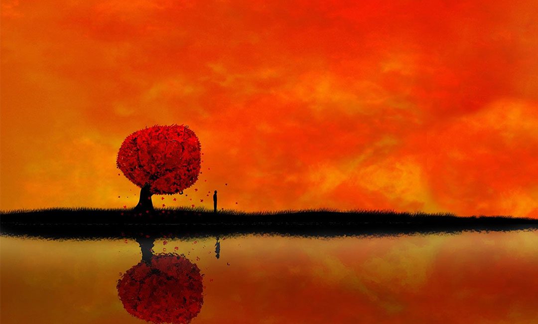 苏州笙影微信朋友圈转发案例